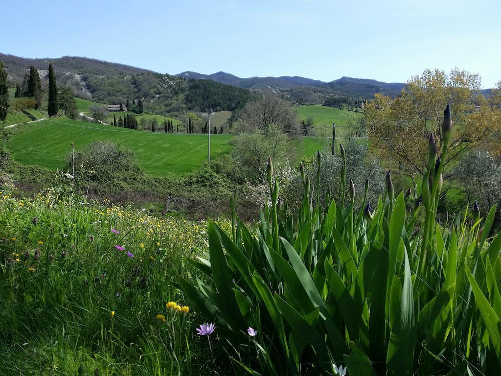 Country House Santa Felicita La Paterna Todi Kültér fotó
